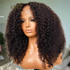 Brazilian Kinky Curly Human Hair Wig