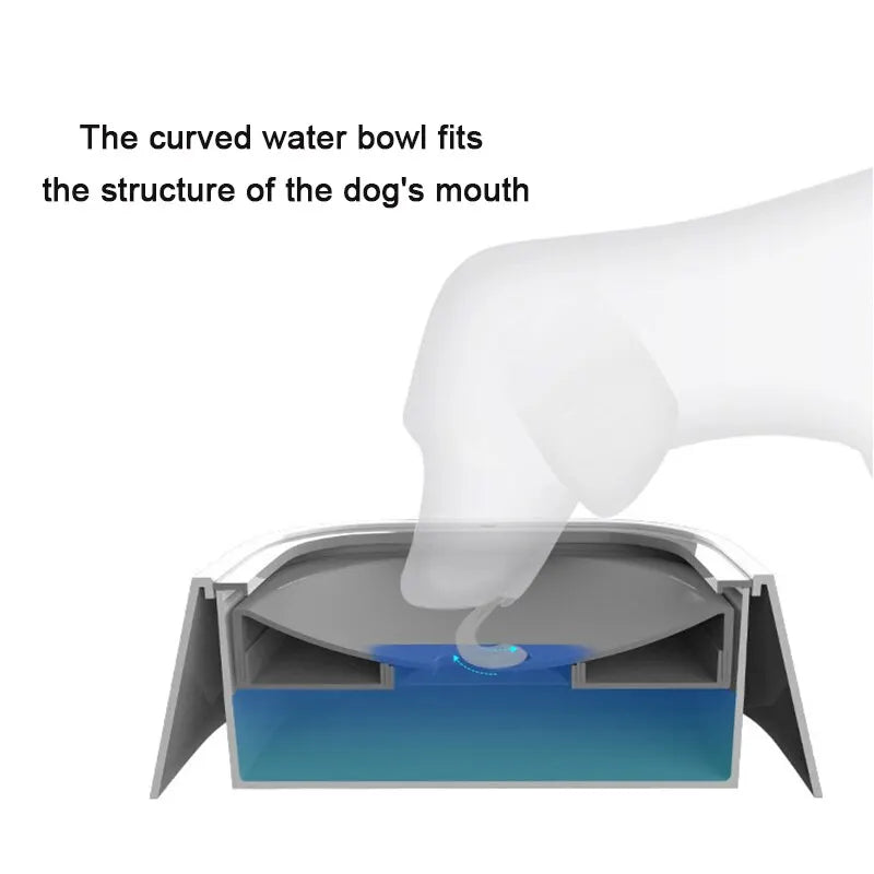 Dog Drinking Water Bowls Floating