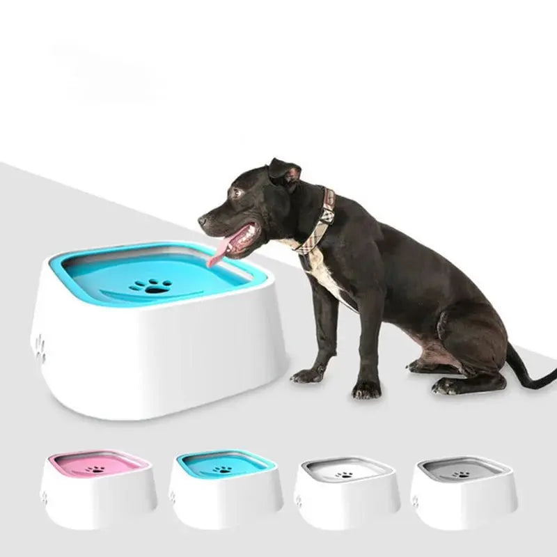 Dog Drinking Water Bowls Floating