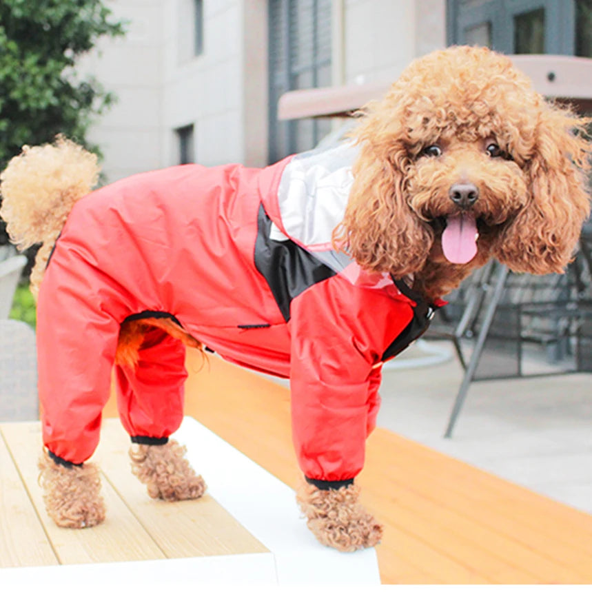 RainGuard Dog Raincoat