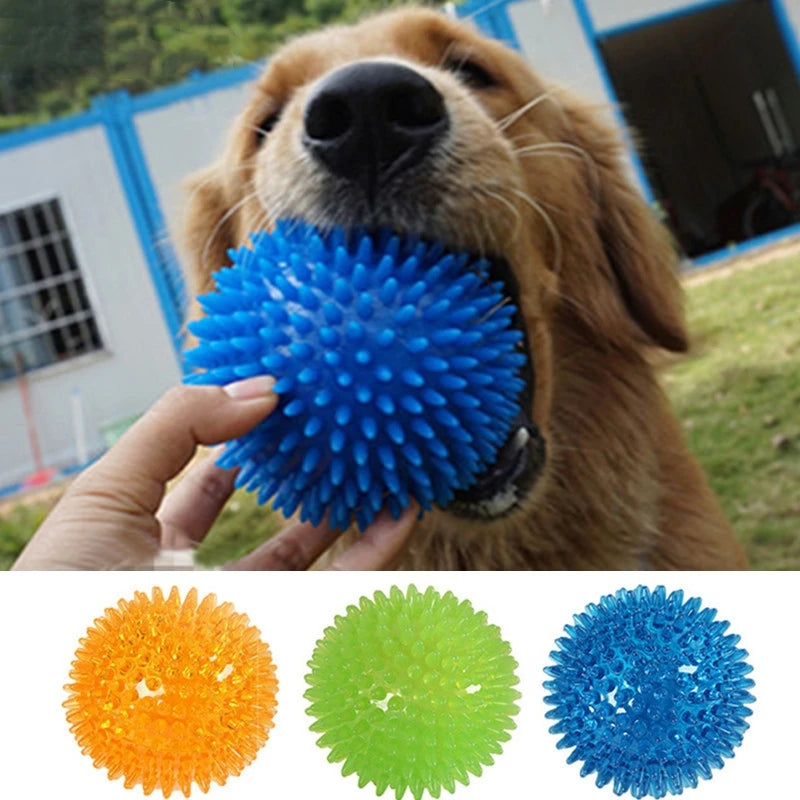 Polka Squeaky Pet Ball