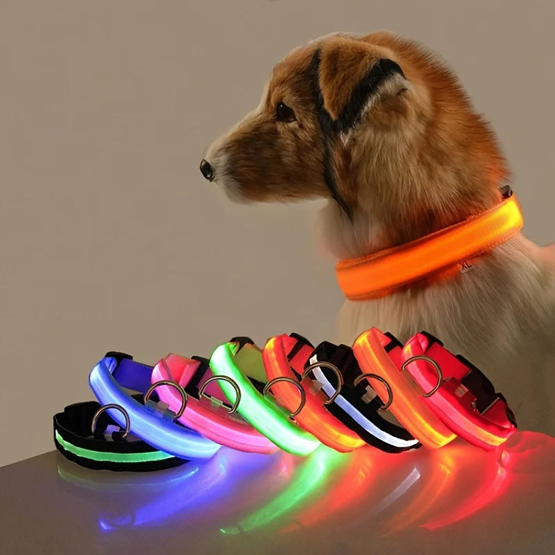 LED Glow Safety Dog Leash