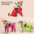 RainGuard Dog Raincoat