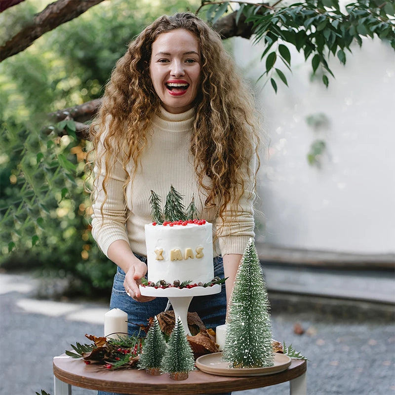 Festive Mini Cedar Pine Tree