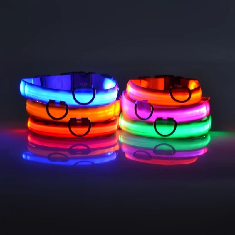 LED Glow Safety Dog Leash